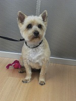 2012-08-30 13.47.34.jpg